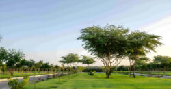 Arabian Hills Estate Plots