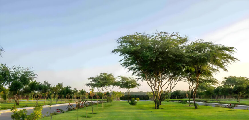 Arabian Hills Estate Plots
